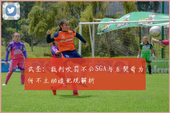 武圣：裁判吹罚不公SGA与东契奇为何不主动造犯规解析